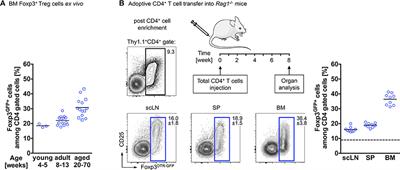 Foxp3+ Regulatory T Cells in Bone and Hematopoietic Homeostasis